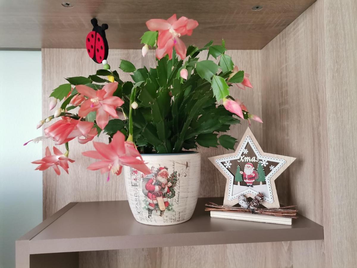 Apartament Giulia Apartment Fagaras Ngoại thất bức ảnh